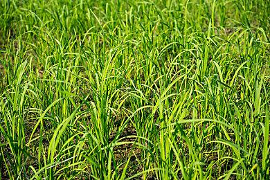 非《传送门3》！V社公布免费游戏《光圈科技打工记》